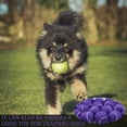 thumbnail image 6 of 20 Pack Training Tennis Balls, High Elasticity Practice Balls for Beginner, with Mesh Carry Bag, 6 of 7