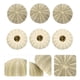 thumbnail image 5 of 6 macetas de aire con forma de erizo de mar para decoración de mesa, manualidades y bricolaje., 5 of 8