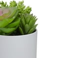 thumbnail image 5 of 5.5" Mixed Artificial Succulent Arrangement in a White Pot, 5 of 5