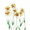 thumbnail image 2 of Moore, Regina 25x32 Gold Ornate Wood Framed with Double Matting Museum Art Print Titled - Amber Tulips I, 2 of 4