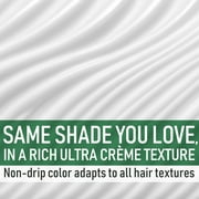 Garnier Hair Color Nutrisse Nourishing Creme, 51 Medium Ash Brown (Cool Tea), 2 Count