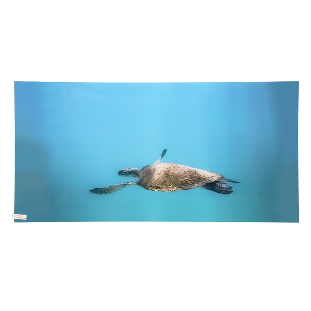 Oubit Fish Tank Decoration Poster,Aquarium Background Paper PVC Aquarium Background Paper Aquarium Decorative Picture Achieve More