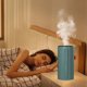 thumbnail image 4 of Fiudx Decoración del hogar Humidificador de niebla pulverizadora de dos cabezales con detección inteligente Tanque de agua de 1 l Humidificadores silenciosos para dormitorios Habitaciones grandes Hum, 4 of 6