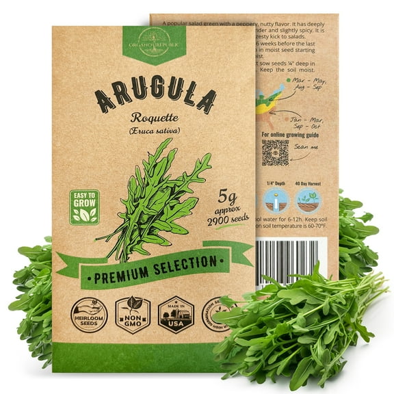 Organo Republic Arugula Roquette Seeds – 2,900  Non-GMO Heirloom Seeds, 5g Packet for Planting Greens Indoors & Outdoors, Spicy Salad Leaf for Home Garden