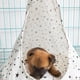 thumbnail image 2 of Hamaca para mascotas multiusos de gran espacio, suave, cómoda, innovadora, linda hamaca para gatos para interiores, estrella blanca S, 2 of 5