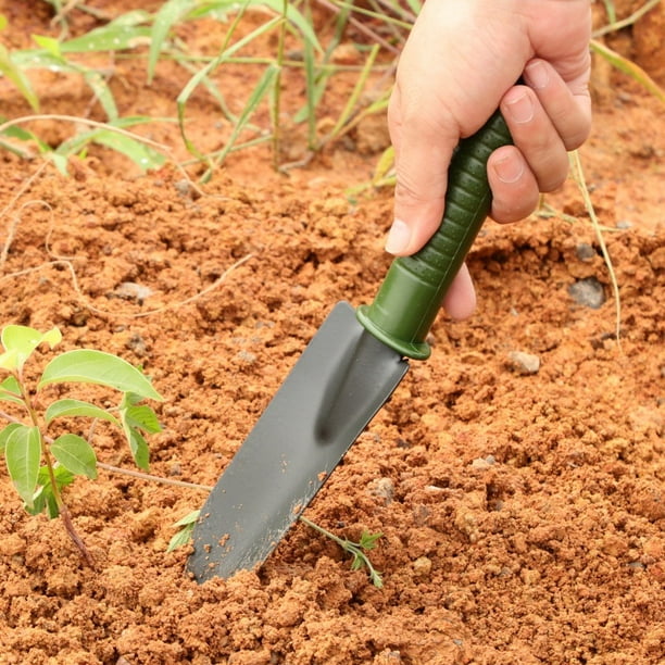 Petite pelle de jardin transplantoir