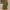 Army Green, variant on Dihao Rompers for Women Clearance Plus Size Women'S Spring and Summer Solid one Shoulder Sloose Fitting Casual one-Piece Shorts Pleated Shorts