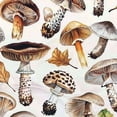thumbnail image 6 of WYYP Mushrooms Pattern Round Table Cloth 100% Polyester Waterproof Resistant Fabric White, 6 of 8