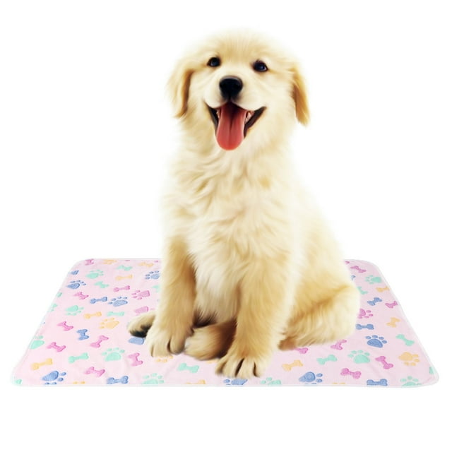 Manta para mascotas, manta cálida de invierno para mascotas con patrón de hueso de pata, valor excepcional Jadeshay A
