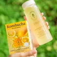 KKOKDAM Kombucha Powder Drink Mix Sticks - Lemon & Chrysanthemum, Sugar ...