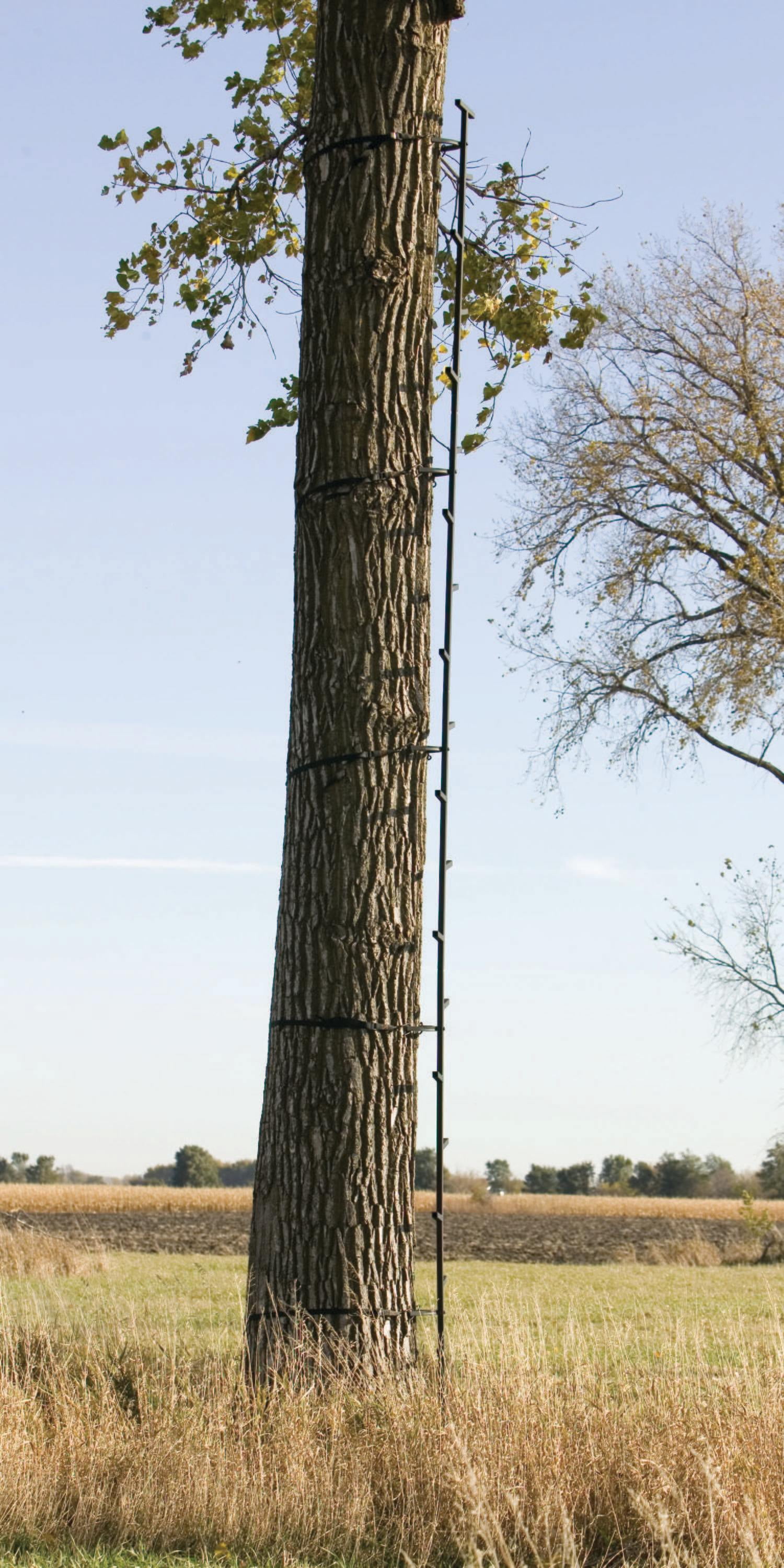Muddy Quick-Stick Climbing System with 20ft Reach and Alternating Step Design