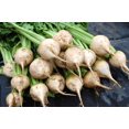 thumbnail image 1 of GSDWIUEW Beet Seeds-Avalanche Beet (200 Seeds)-Organic, Heirloom, Vegetable Seeds, 1 of 3