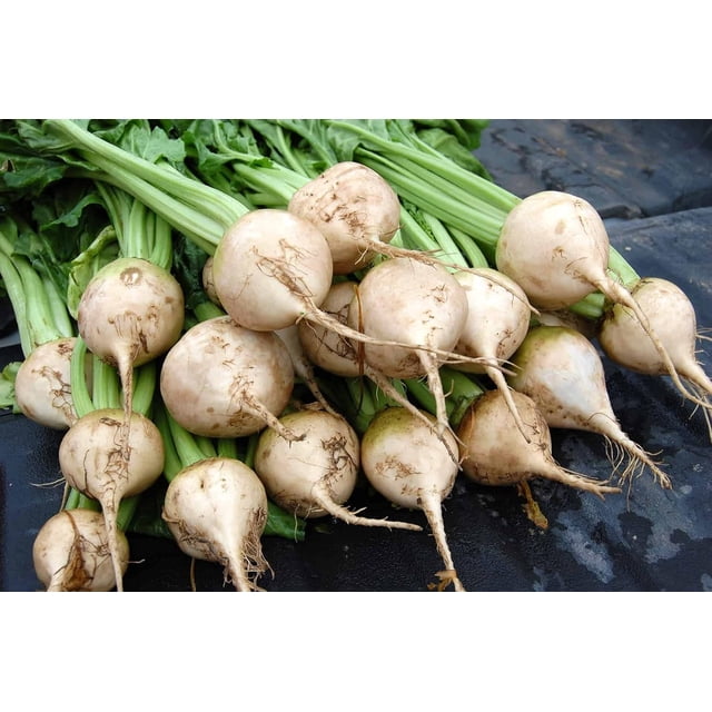 GSDWIUEW Beet Seeds-Avalanche Beet (200 Seeds)-Organic, Heirloom, Vegetable Seeds