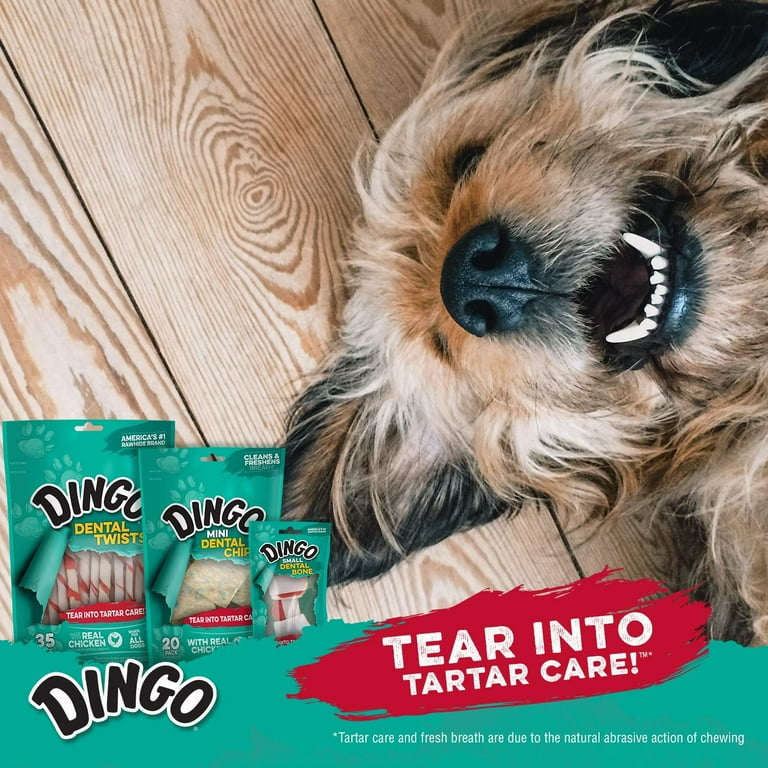 Dingo Dental Mintz Chews For Dogs Mint Dog Treats Walmart