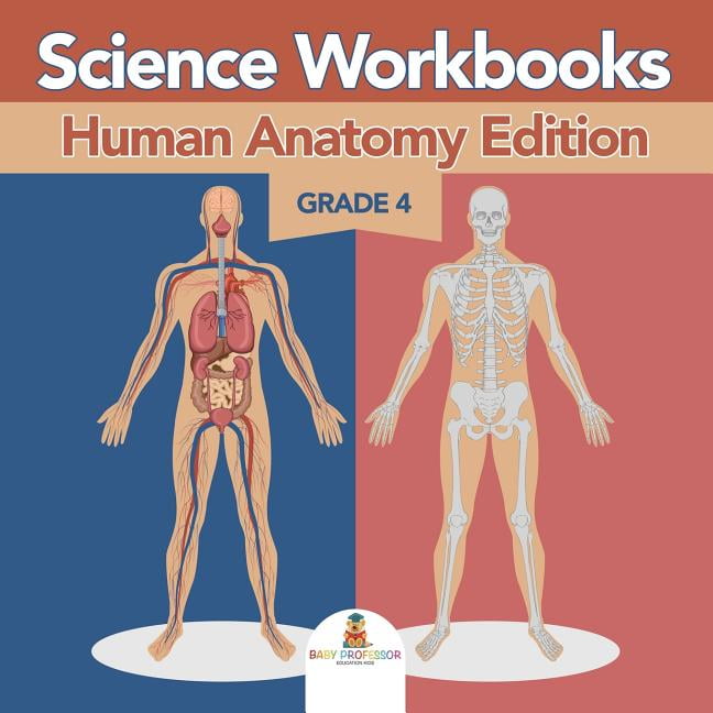 Grade 4 Science Workbooks: Human Anatomy Edition (Science Books