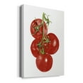 thumbnail image 2 of Watercolor Veggie IV Premium Gallery Wrapped Canvas - Ready to Hang, 2 of 9