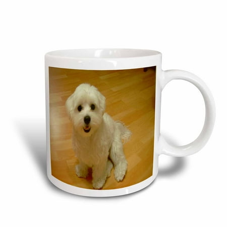 

3dRose Maltese Puppy - Ceramic Mug 11-ounce