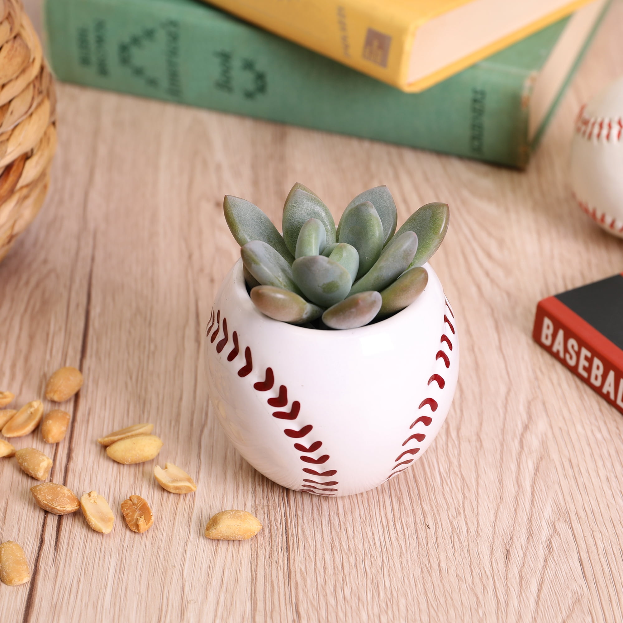 Green Circle Growers 2.5in Echeveria Succulent in Ceramic Pot