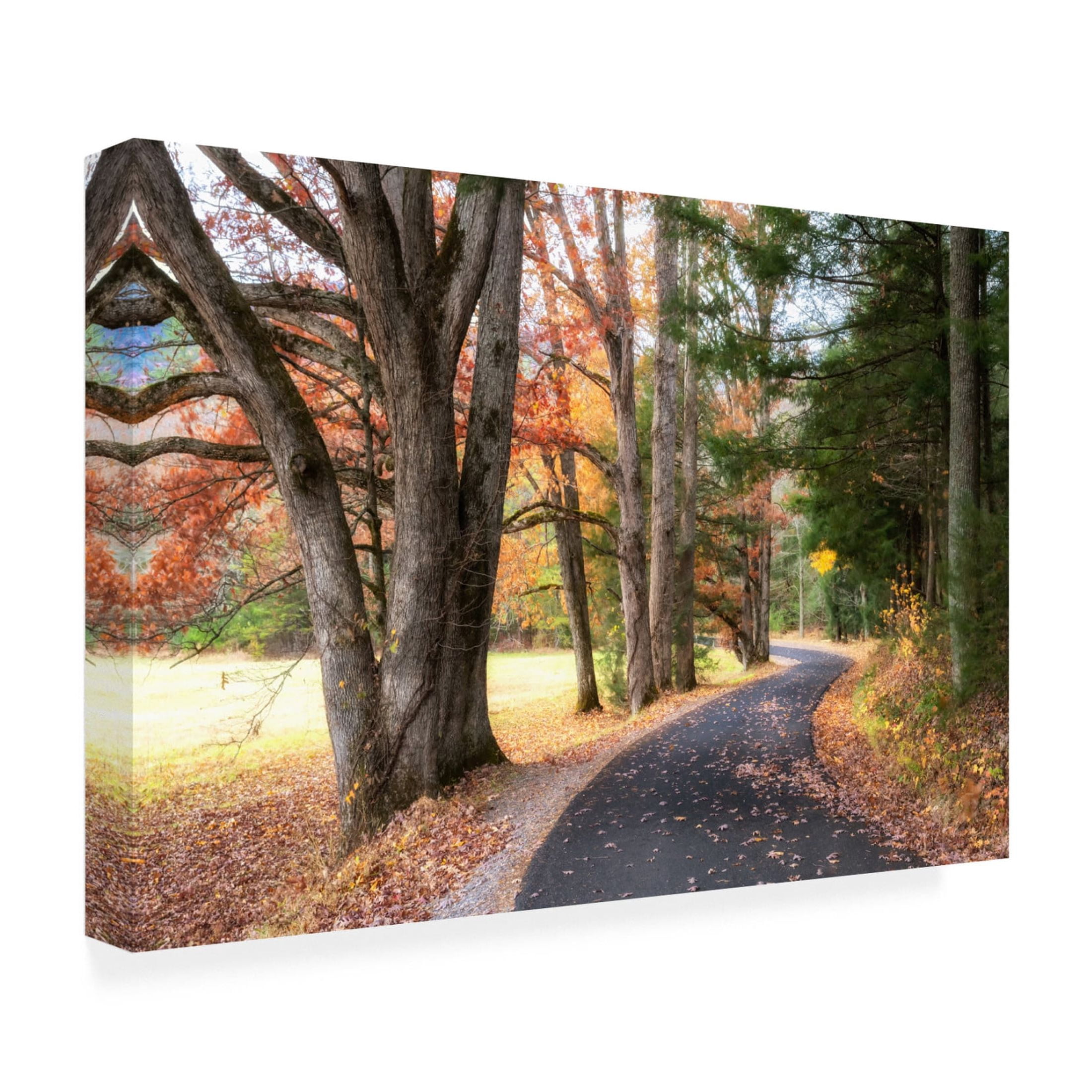 Trademark Fine Art Danny Head  Autumn Drive I Canvas Wall Art