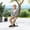 Blue, variant on Lightweight Adjustable Folding Cane Seat with LED Light, Portable Walking Cane Chair with Aluminum Frame, 5 Height Settings, Anti-Slip Foot Pads 220 lbs Capacity for Travel Walking and Resting Brown
