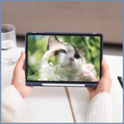 Fintie Hybrid Slim Case for Samsung Galaxy Tab S10 Lite/ S10 FE/ S9 FE 10.9 Inch/ S9 11 Inch with S Pen Holder, Shockproof Cover with Clear Transparent Back Shell, Auto Wake/Sleep, Blooming Hibiscus