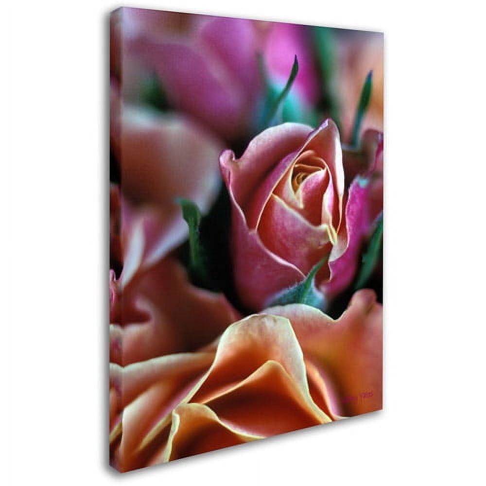 "Mauve and Peach Roses" Canvas Art by Kathy Yates