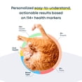 thumbnail image 3 of Kit de prueba de ADN para gatos Basepaws, análisis integral de raza y salud, 3 of 9