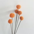 thumbnail image 6 of Orange Dried Flowers Bouquet,Dried Craspedia Buttons Bouquet,Natural Billy Balls Flowers,Vase Floral Arrangements,for Home Garden Wedding Birthday Party Decor 20 Pcs 17”, 6 of 6