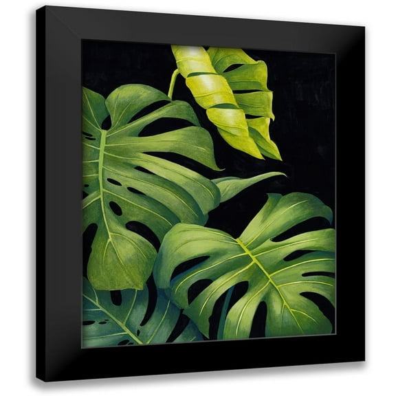 Popp, Grace 12x14 Black Modern Framed Museum Art Print Titled - Night Monsteras II