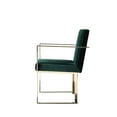 thumbnail image 5 of Pangea Home Gold Dexter Arm Chair Velvet Green, 5 of 6