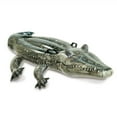 thumbnail image 1 of Bouée à Chevaucher Alligator 1 Pce, 1 of 1