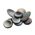 thumbnail image 4 of OULII 9pcs/set Tenor Saxophone Key Buttons Synthetic Material Black for Musicians, 4 of 5