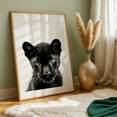 thumbnail image 5 of baby panther - Photography Black and White Animal Wildlife Portrait Cat Minimalist Oak Framed Wall Art Print 16 x 24 inches, 5 of 59