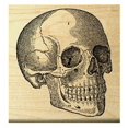thumbnail image 2 of P30 Skull Rubber Stamp, 2 of 3