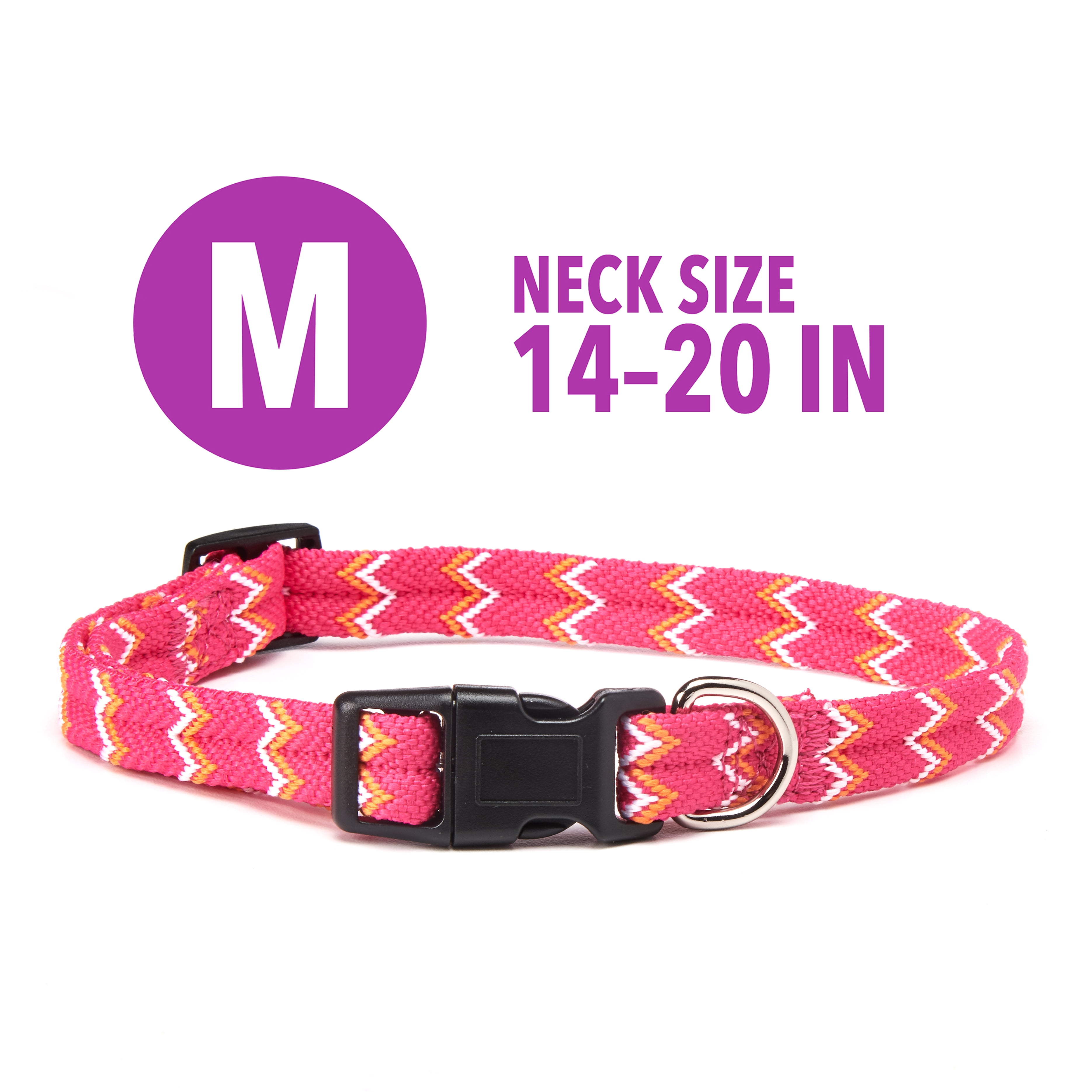 stylish dog collars and leashes