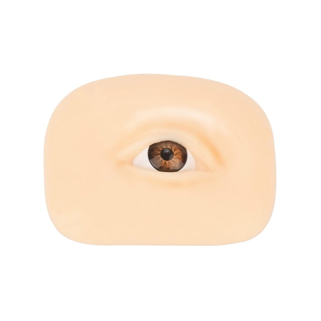 Herramienta de entrenamiento de sombra de ojos, accesorio de práctica profesional, modelo de tablero de práctica de entrenador de maquillaje de Ayudas para vestirse con gancho de botón Lado izquierdo Seitruly CE014517-01
