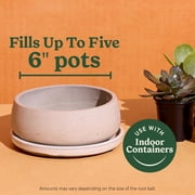 Miracle-Gro Indoor Potting Mix for Cactus and Succulent, Fast-Draining Formula, 8 qt.