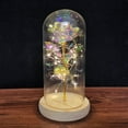 thumbnail image 1 of PENGXIANG LED Rose Flower In Glass Dome with Lights Infinity Crystal Rose Flower Enchanted Glass Rose Best Gift B, 1 of 6