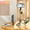 With fill light, variant on Q02S Multi-function mobile phone live broadcast tripod | Anti-shake selfie stick | Portable fill light integrated bracket