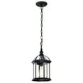 thumbnail image 4 of Nuvo 60-4979 - Boxwood - 1 Light - 14" Outdoor Hanging W/ Clear Beveled Glass, 4 of 5