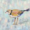 thumbnail image 2 of Vertentes, Jeanette 12x12 Gold Ornate Wood Framed with Double Matting Museum Art Print Titled - Coastal Plover IV v2 Neutral, 2 of 4