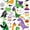 Cute Dinosaurs, variant on Halloween Shower Curtain, Cute Dinosaurs Polyester Fabric Bathroom Decor Curtain, Machine Washable Waterproof, Halloween Holiday Gift for Women Men, 72 x 72 Inches