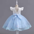 thumbnail image 4 of YWDJ Children Baby Girls Middle-aged Childrens Sleeveless Embroidery Mesh Dress Gauze Dress Princess Dress Blue 6-7T, 4 of 9