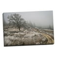 thumbnail image 1 of Gango Home Decor Winter Serenity by Vitaly Geyman (Ready to Hang); One 36x24in Hand-Stretched Canvas, 1 of 4