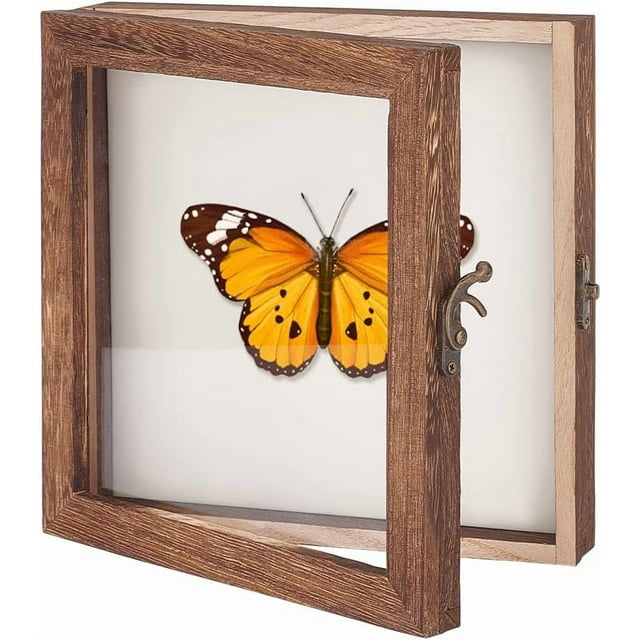 Insect Display Case Shadow Box for Insect Display with Clear Top Insect Specimen Storage Box Wood Insect Storage Case for Collecting Specimen 8 x 8 Inch