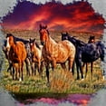thumbnail image 4 of CafePress - Sunset Horses Hooded Sweatshirt - Pullover Hoodie, Hooded Sweatshirt, 4 of 4