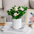 thumbnail image 4 of Self-Absorbing Flowerpot with Transparent Water Level Indicator Self Watering Planter with Bubble Texture Double-Layer Design for Indoor Plants Succulents Herb Garden, 4 of 8