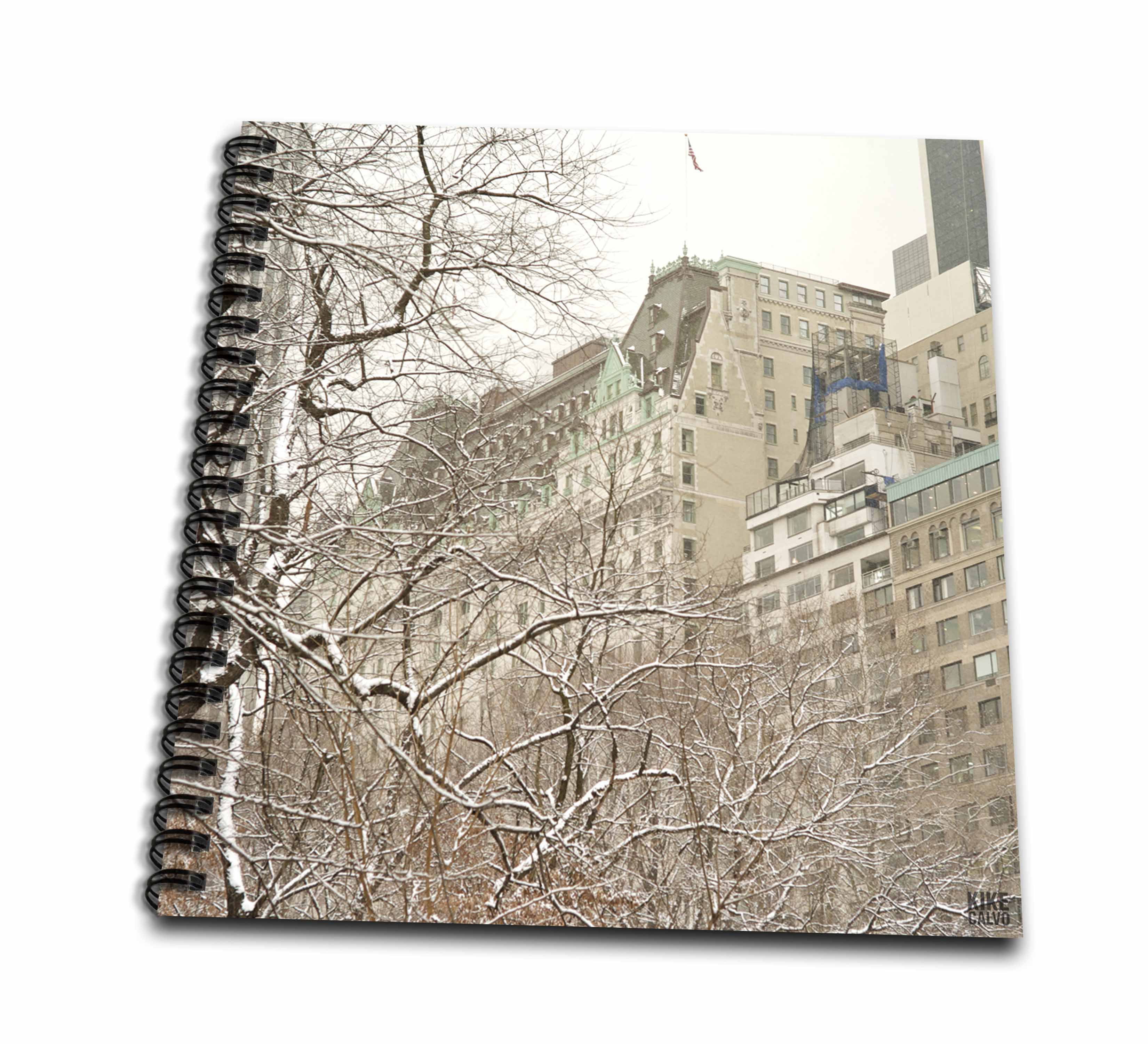 3Drose Llc 8 X 8 X 025 Inches Mouse Pad Snow Blizzard In Central Park Manhattan 