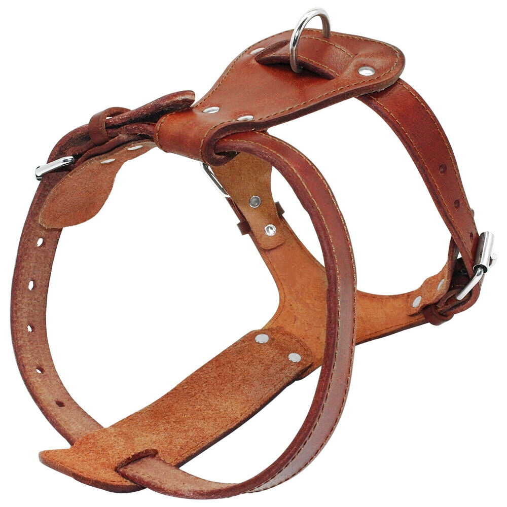 Didog Leather Dog Harness and Leash Genuine Leather for Large Dogs Pitbull Bulldog