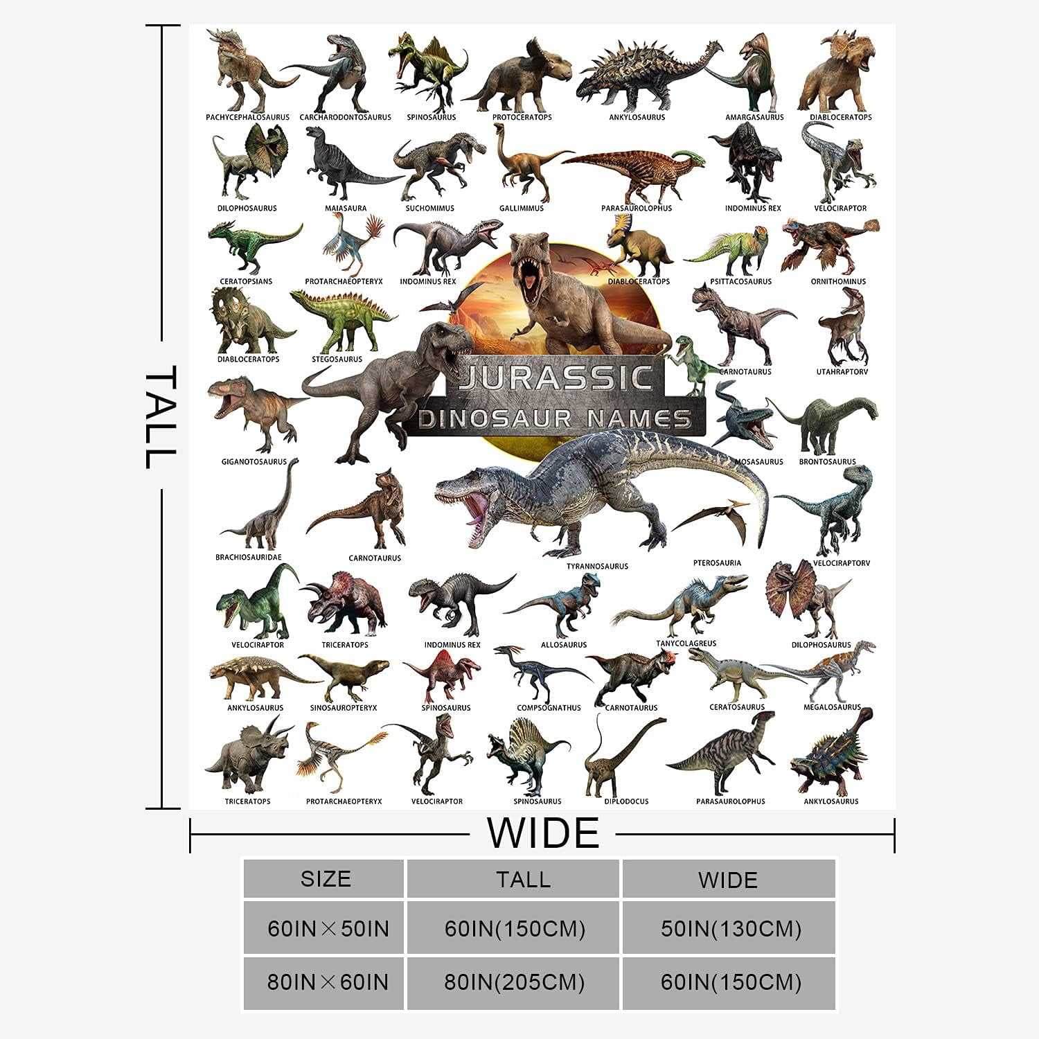 Dinosaur Blanket for Boys Teens - Jurassic Dino Kids Sofa Bed Plush Blanket, Soft Flannel Throw Dinosaur Room Decor Toys Gifts 50x60 Inches